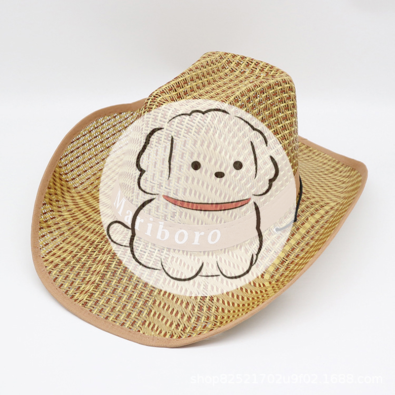Men Retro Western Cowboy Summe – Cowboy Hat Straw recenzja i cena